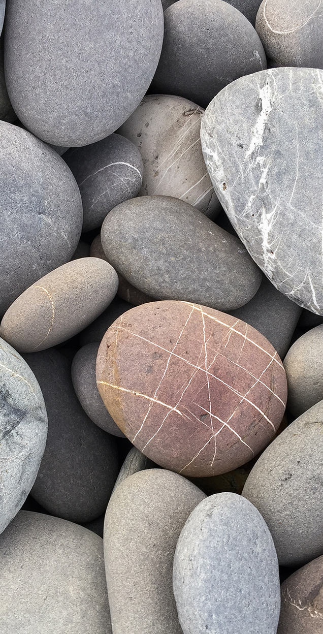 Strategic Alliance: IGRM + Appella Commercial Finance